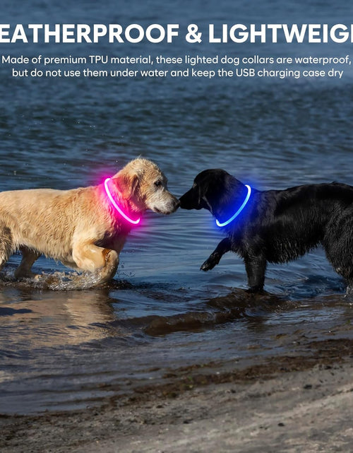 Load image into Gallery viewer, Light up Dog Collars - Waterproof LED Dog Collar, Glow in the Dark Pet Collars, TPU Cuttable Lighted Puppy Collar Lights for Small Medium Large Dogs (Pink)
