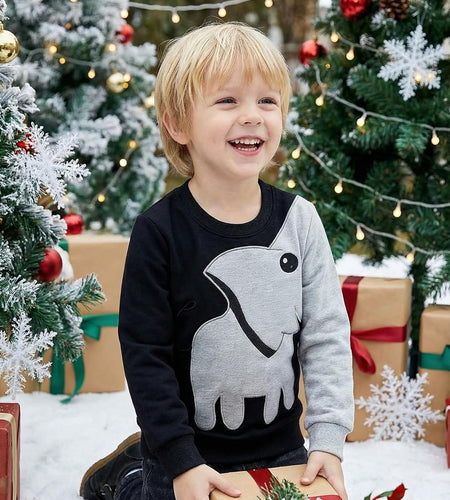 Boys Sweatshirts Elephant Pullover T-Shirts Toddler Cotton Cute Tops Tee Long Sleeve Outdoor Outfit