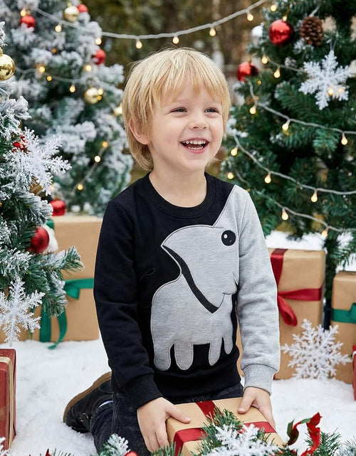 Load image into Gallery viewer, Boys Sweatshirts Elephant Pullover T-Shirts Toddler Cotton Cute Tops Tee Long Sleeve Outdoor Outfit
