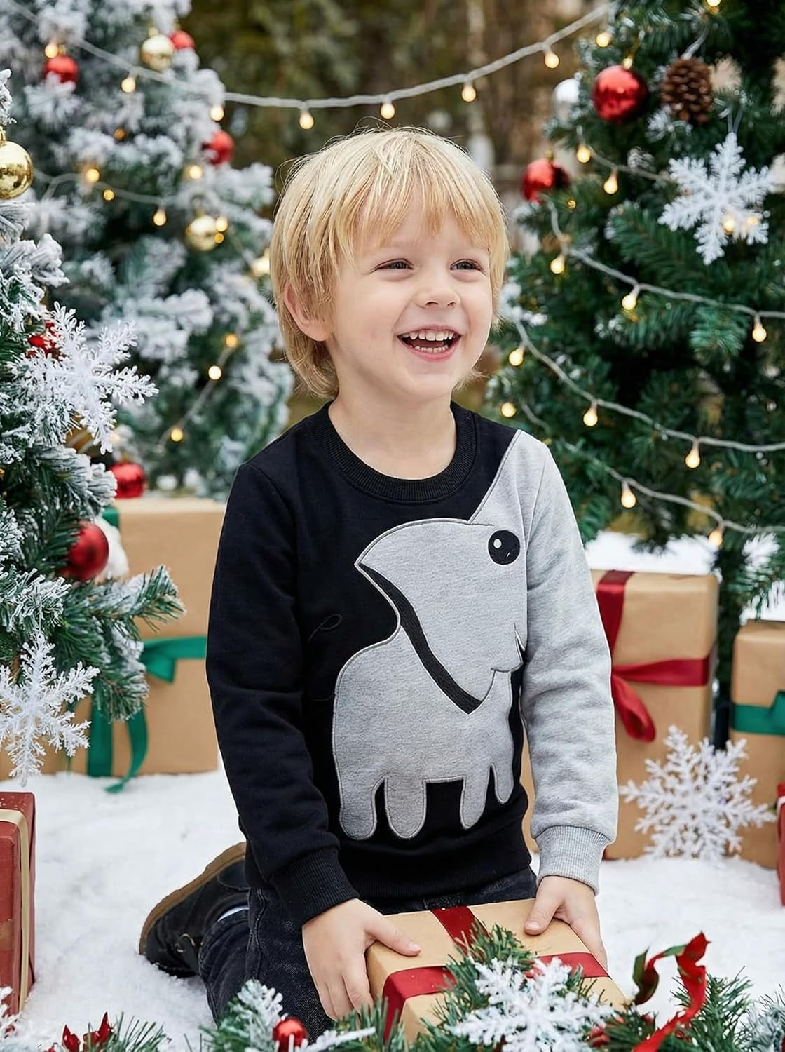 Boys Sweatshirts Elephant Pullover T-Shirts Toddler Cotton Cute Tops Tee Long Sleeve Outdoor Outfit