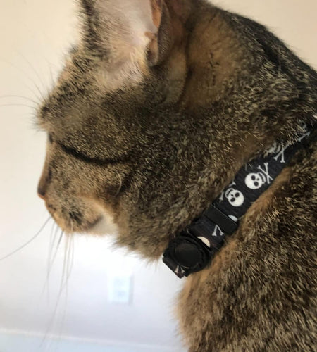 Breakaway Cat Collar with Bell Charm, 2 Packs Adjustable Kitty Collars Pink & Black Skull Pattern, 7.8-11.8 In